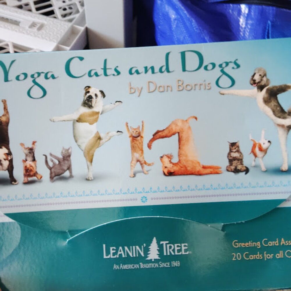 Dan Borris Assortment Yoga Cats and Dogs  Greeting Cards and Envelopes Colorful